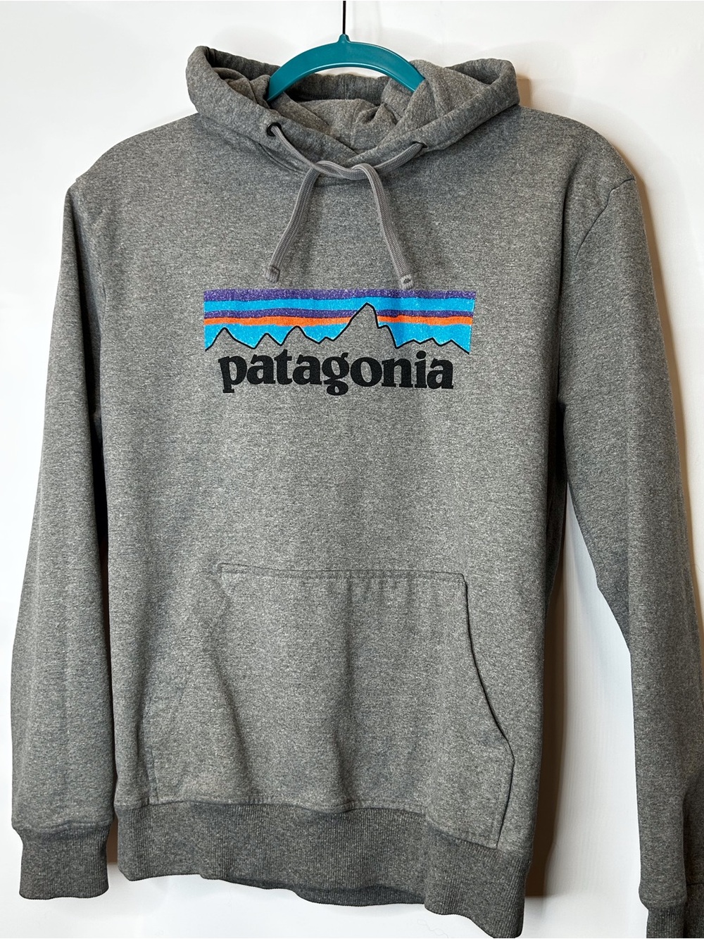 Patagonia Gray Hoodie with Blue & Purple Stripe Logo
